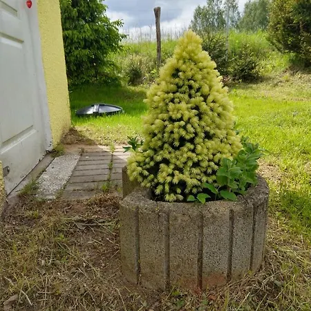 U Dobrusi Деревянный коттедж Миколайки
