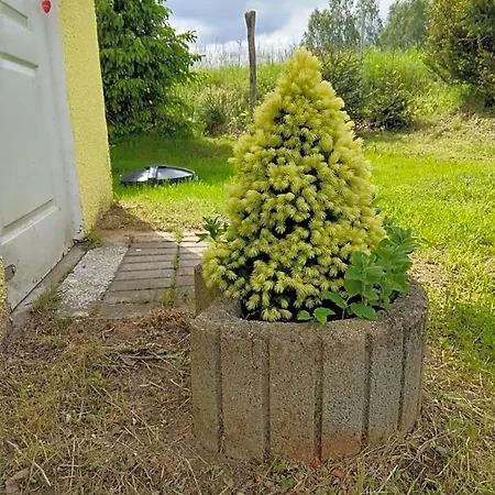 Деревянный коттедж U Dobrusi *